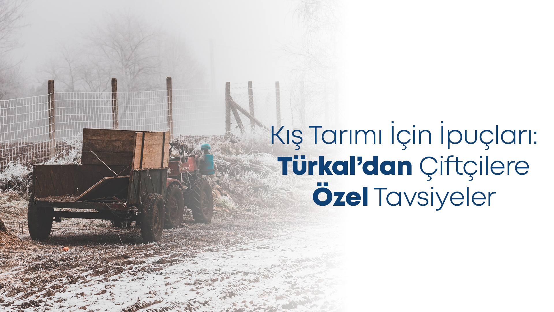 Kış Tarımı İçin İpuçları: Türkal’dan Çiftçilere Özel Tavsiyeler
